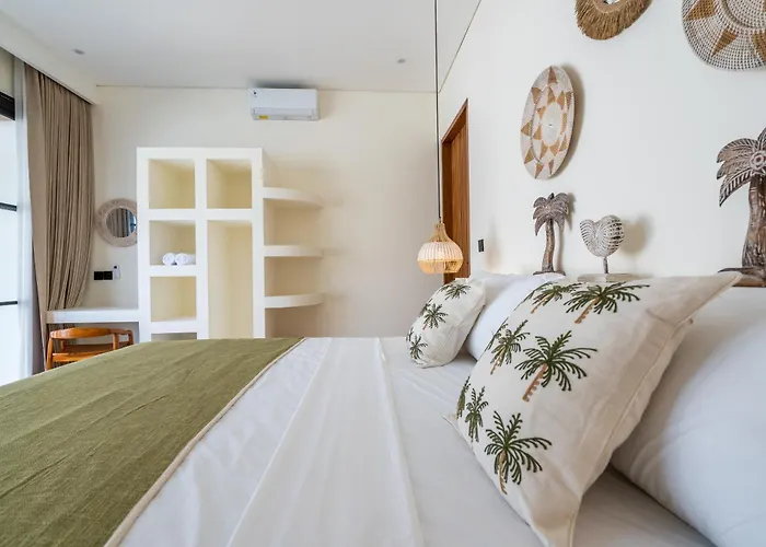 Complex Casa Jamu